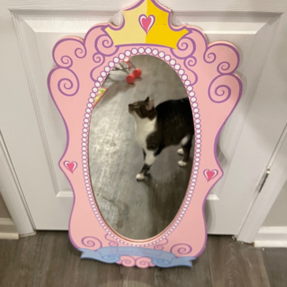 Disney Full Body Princess Mirror